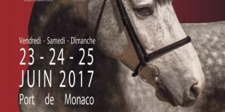 International Jumping of Monte-Carlo